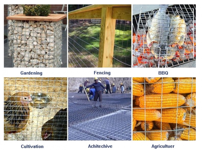 Tierkäfig keine rostfreie Masche der Schweißungs-rostige 201 1